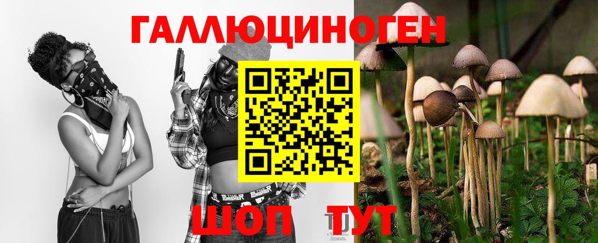 Галлюциногенные грибы GOLDEN TEACHER Набережные Челны