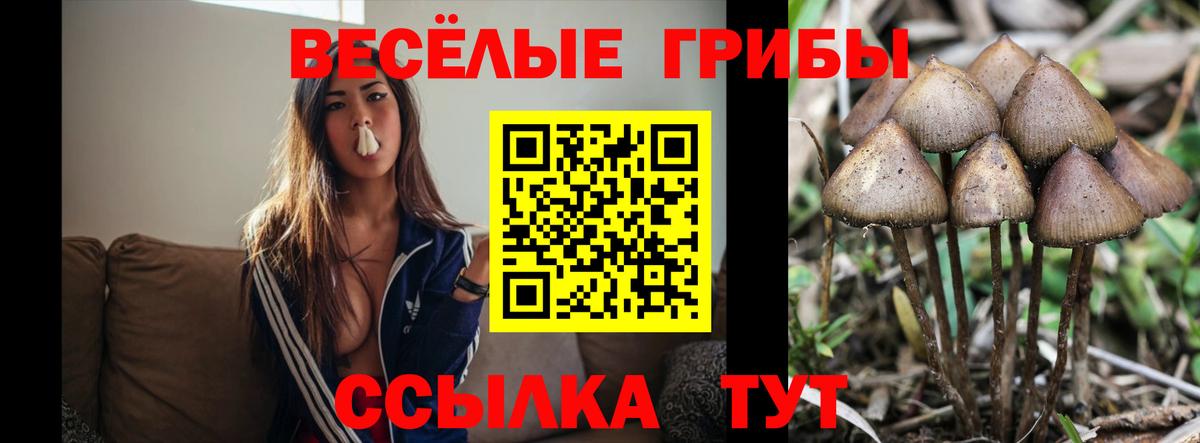 Набережные Челны  Псилоцибиновые грибы GOLDEN TEACHER  Псилоцибиновые грибы Magic Shrooms  Вход с VPN 